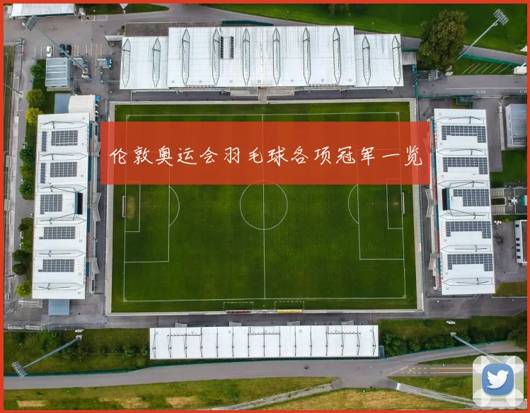 伦敦奥运会羽毛球各项冠军一览
